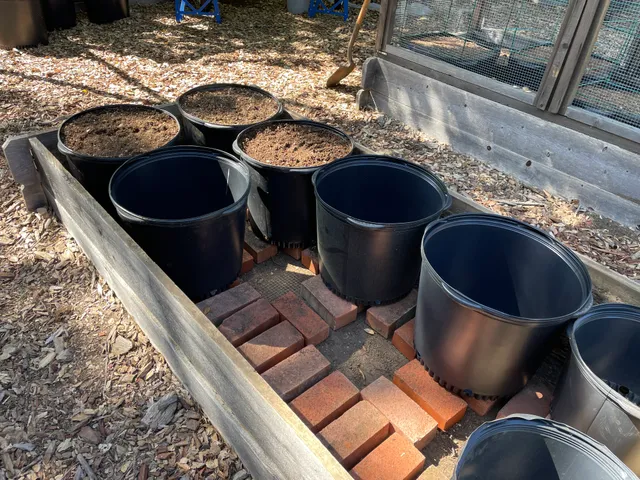 Bricks to create an air gap