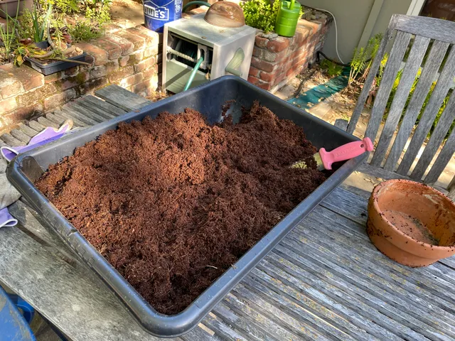 Coconut coir ready to use