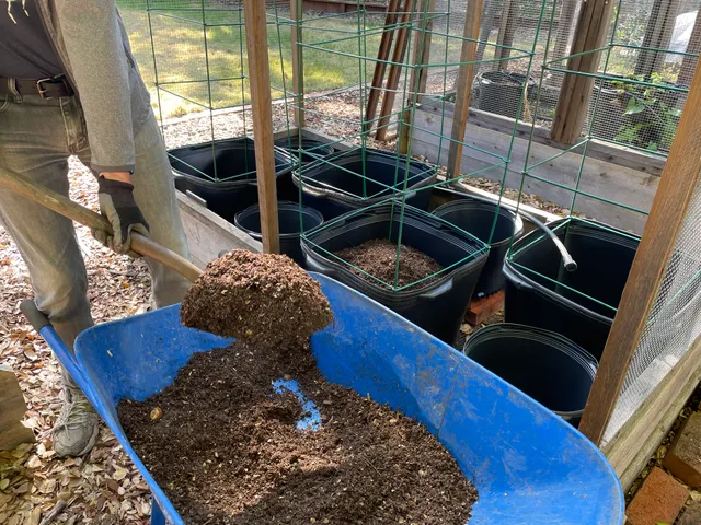 Filling the containers