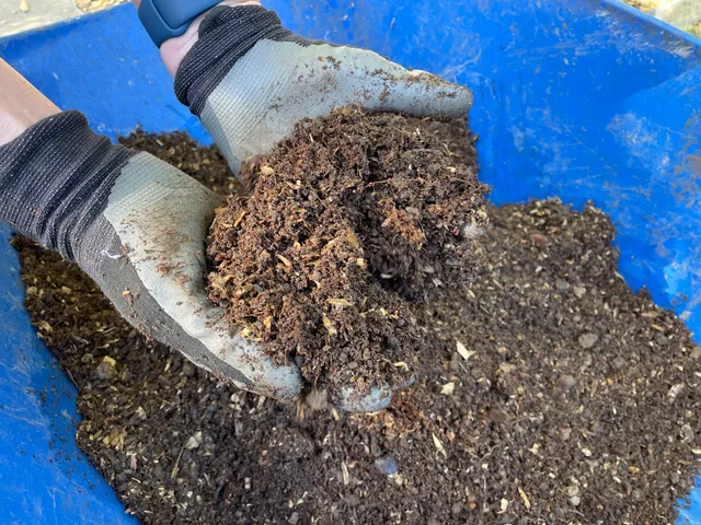 Final potting soil