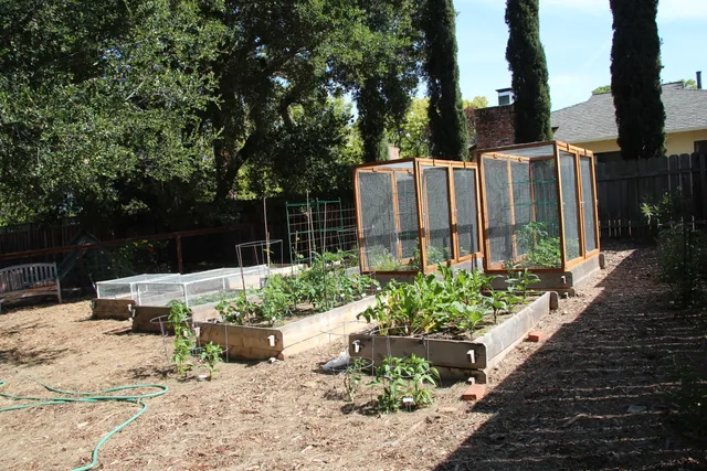 Garden with cages