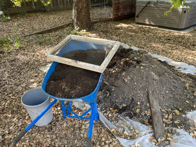 Sifting the old soil