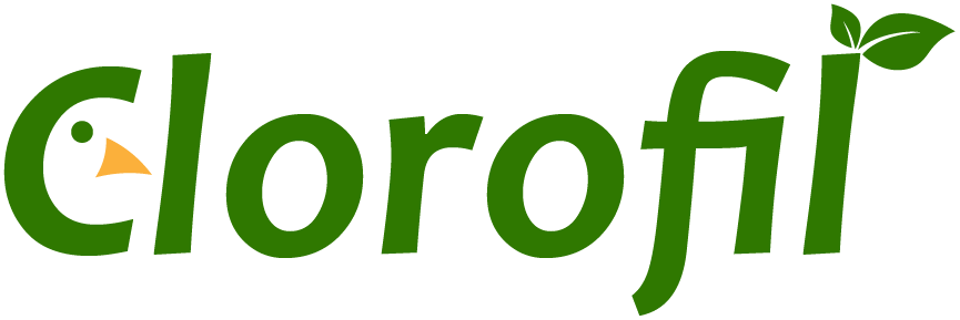 Clorofil